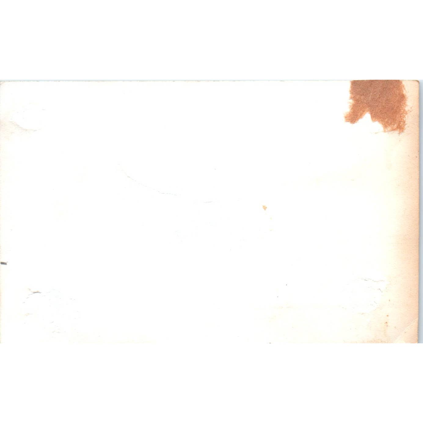 1930s Photograph Horses on Parade Ford Model B Rheinland 3x4.5" SE5