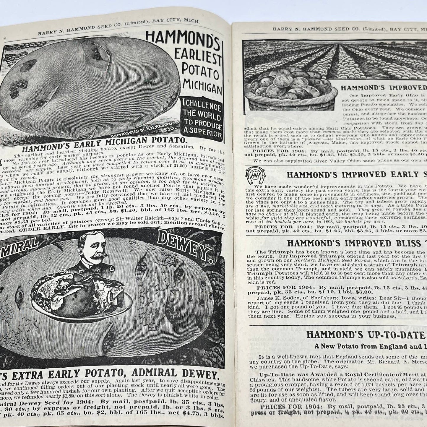 Harry Hammond Seed Co. 1904 Catalog Bay City MI Giant Potato Sensation TF7