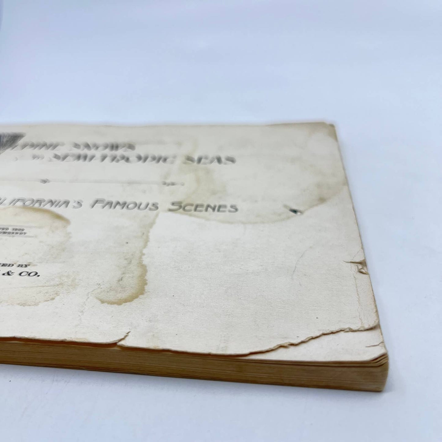 RARE 1902 A Collection of California's Famous Scenes Tourist Photo Book TF9
