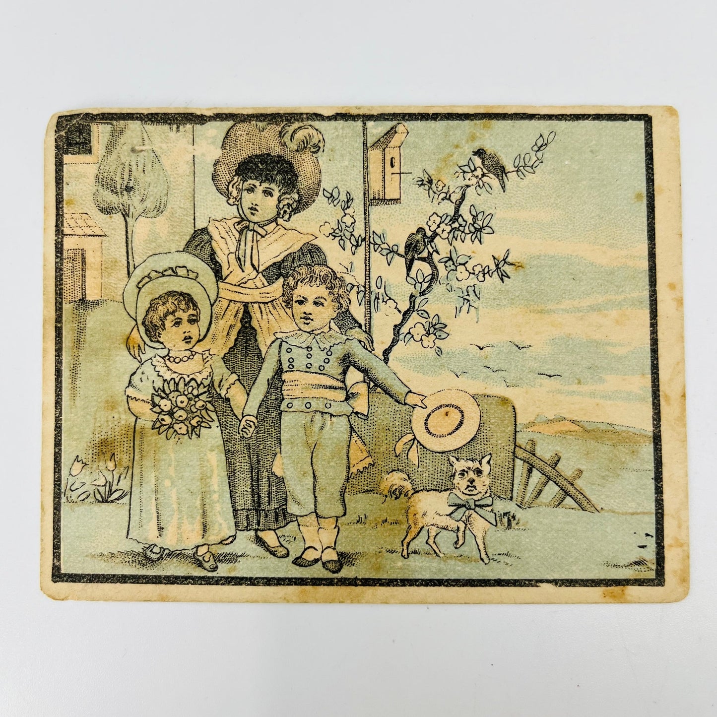 1880 Victorian Trade Card Great Atlantic & Pacific Tea Co Children & Dog AH9-M10