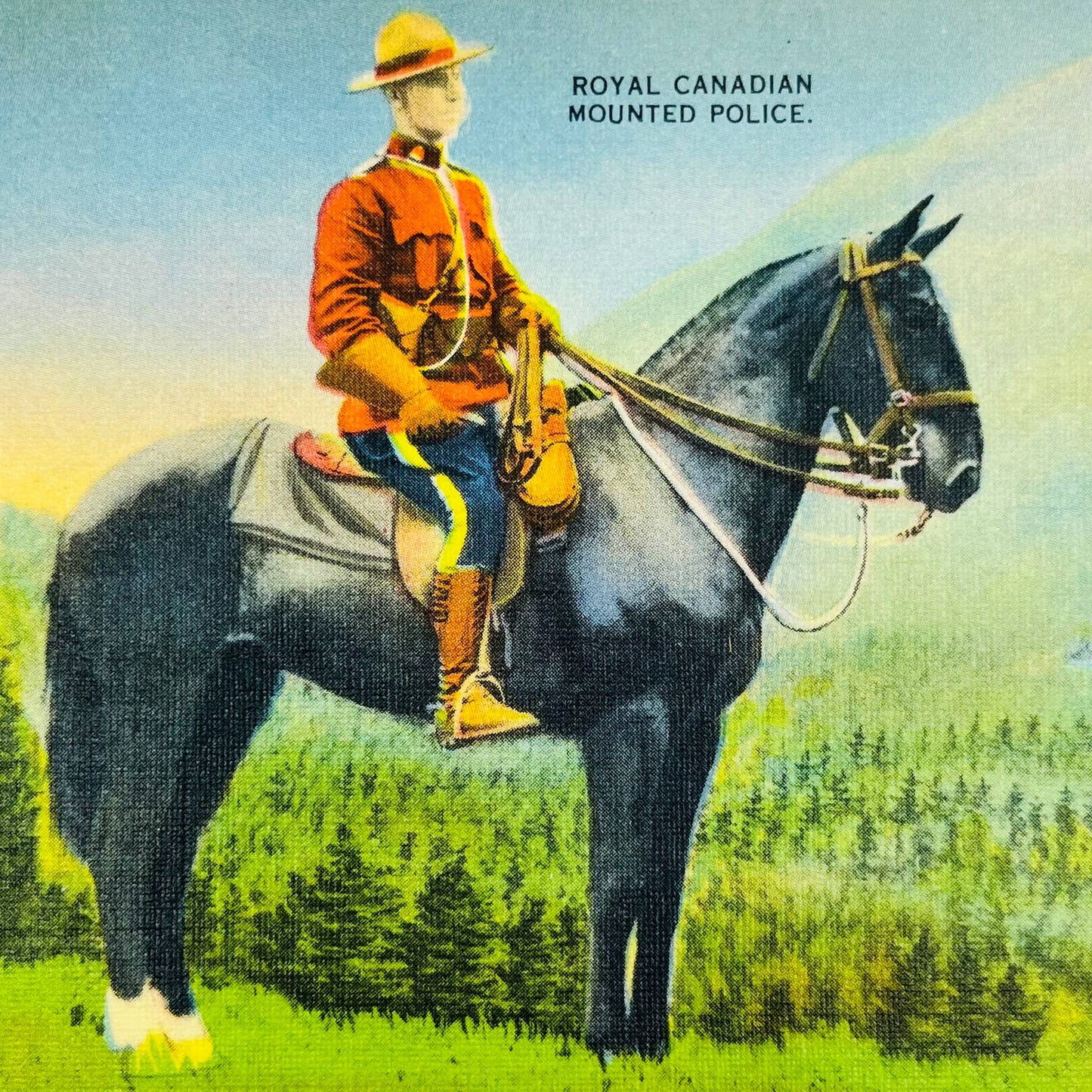 Vintage Postcard CANADA Royal Canadian Mounted Police Mountie Horse PA8