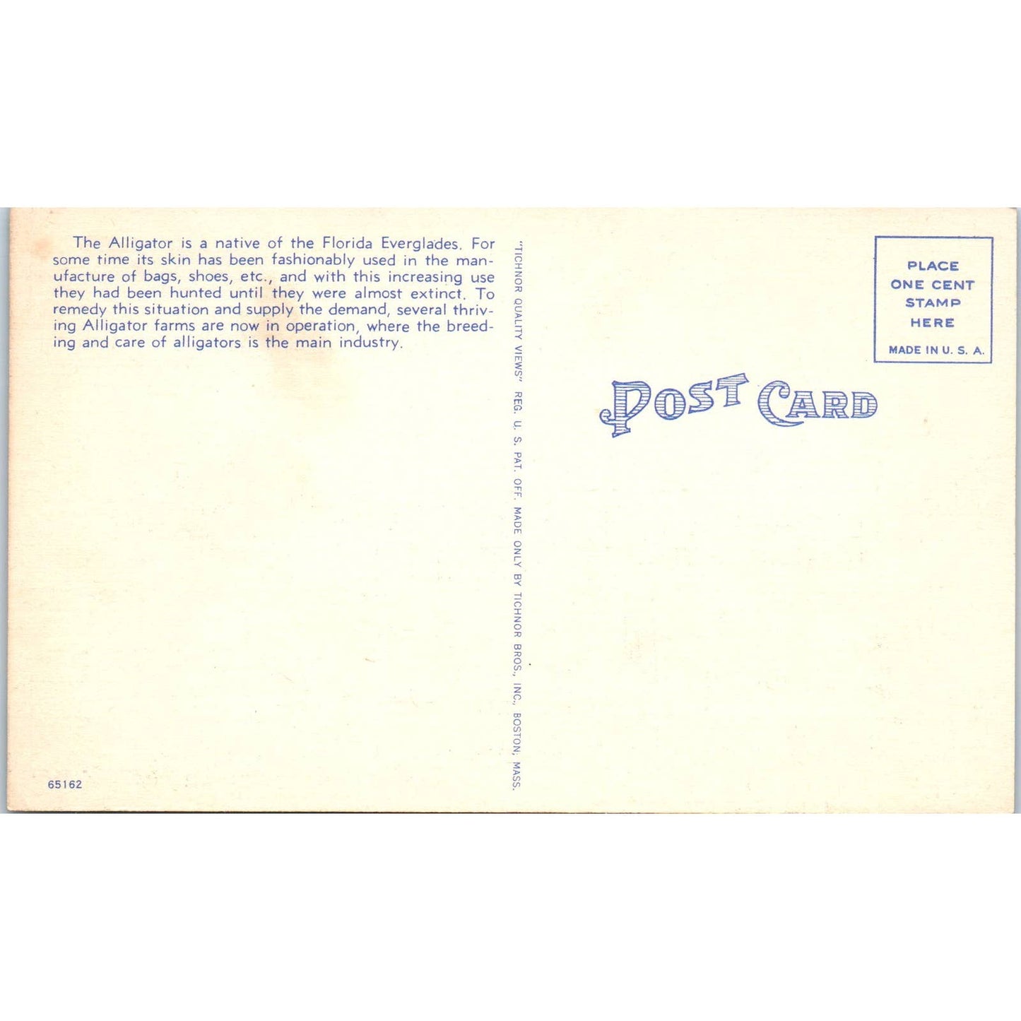 Giant Alligator From Florida on a Train Car Humor Original Postcard TK1-24