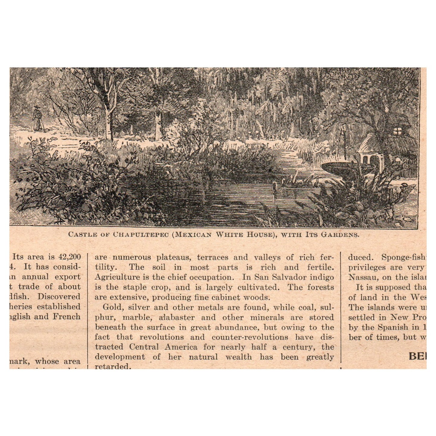 Typical Home in the Interior of Cuba 3.5x5" Original Engraving 1899 AK5-H7
