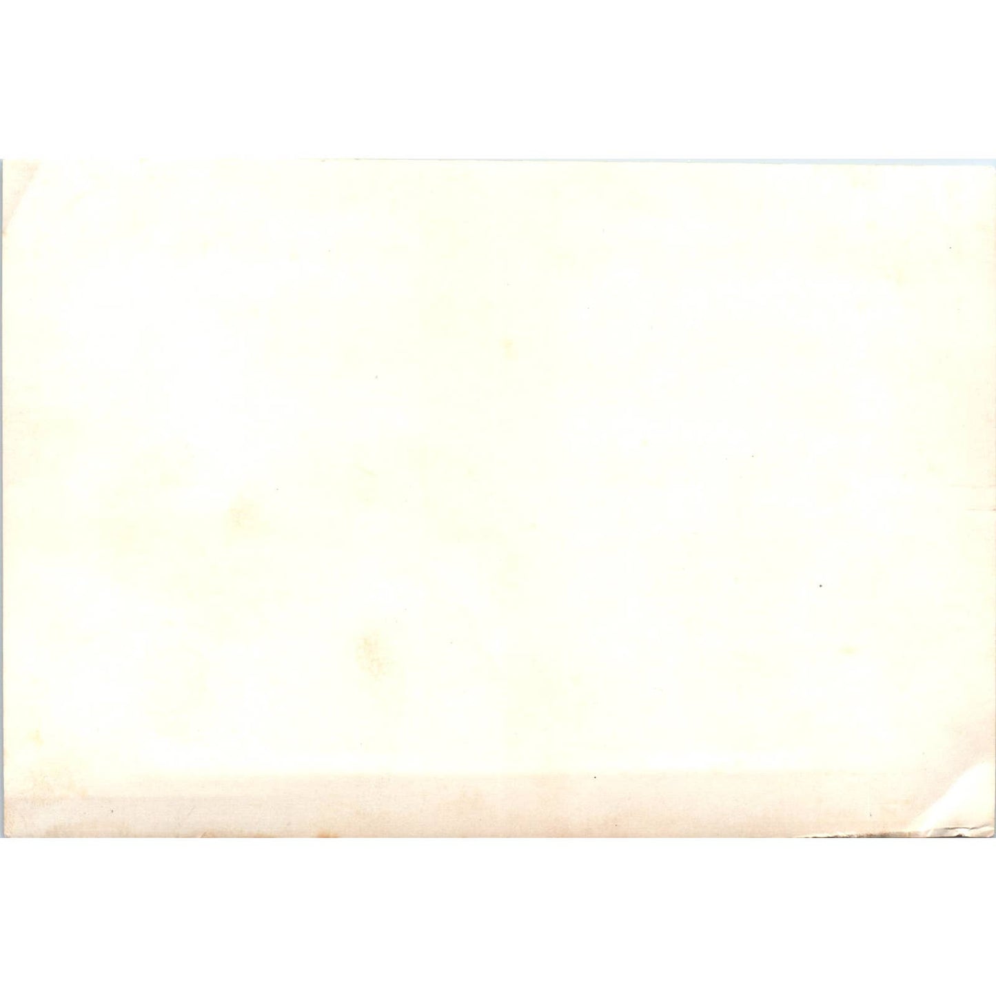 c1950 Original Photograph United States Naval Officers Navy 5x7 SE5