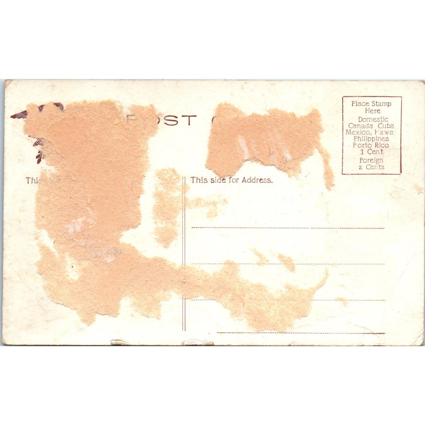 Vintage Postcard Horticultural Hall Fairmount Park Philadelphia PA EA3