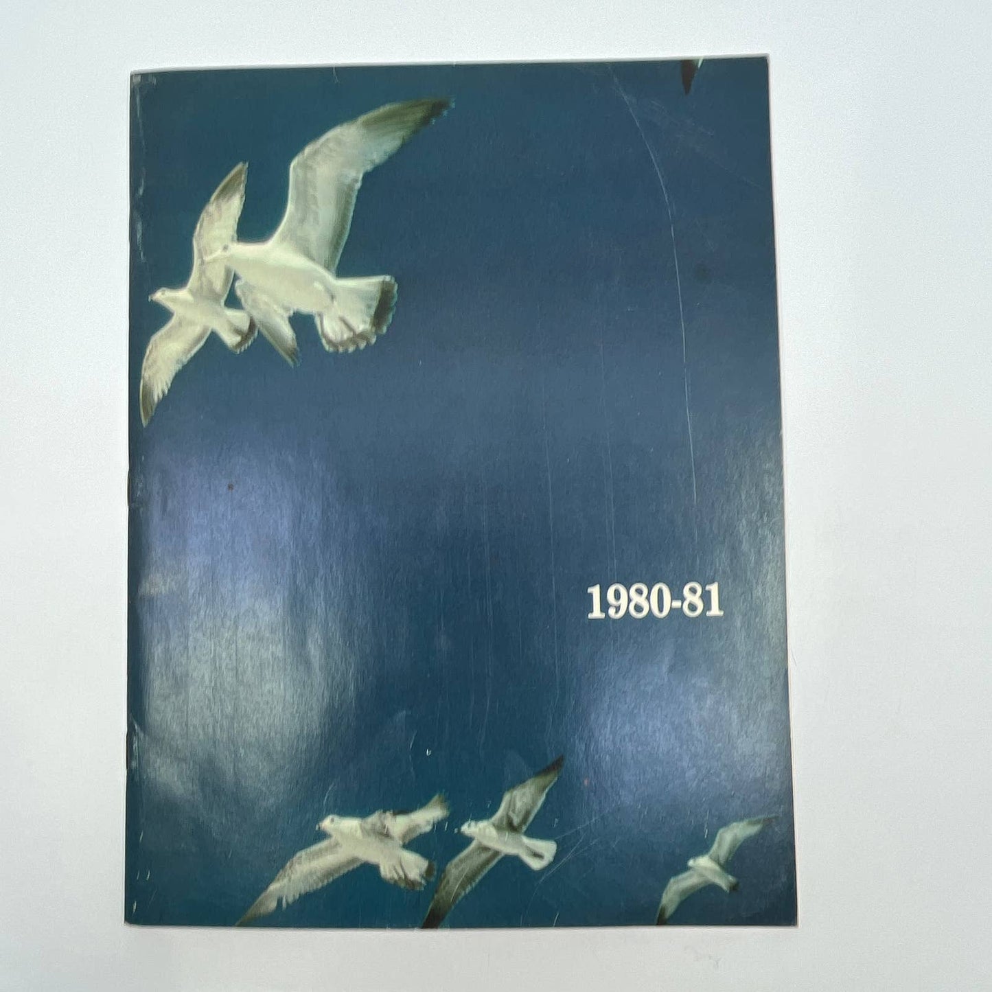 1980-1981 Northwest Junior High School Yearbook Reading PA TG2