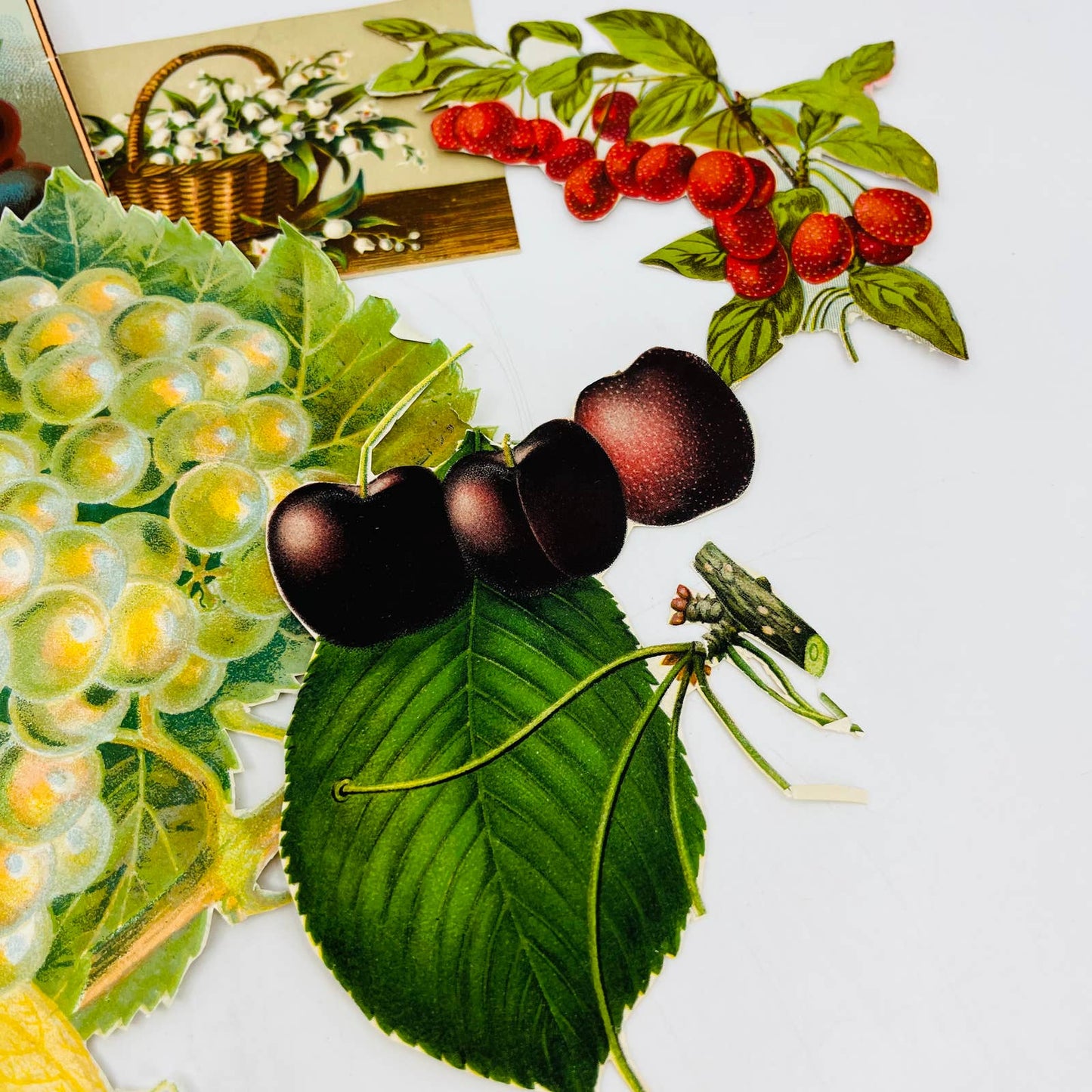 ANTIQUE Lot of 8 Victorian Lithograph Cut Outs Fruit Vegetable Flora AA3
