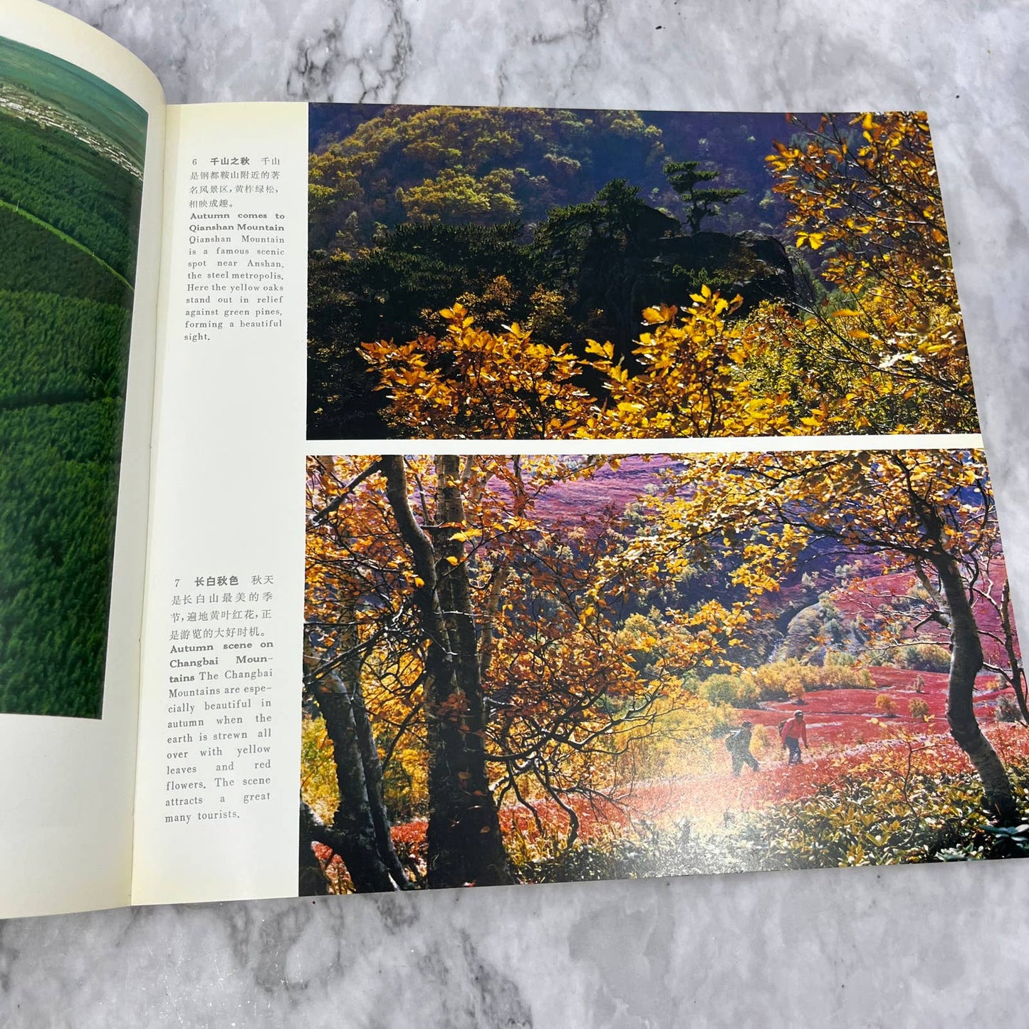 China Forest Tour Book Ministry of Forestry People's Republic of China TK1