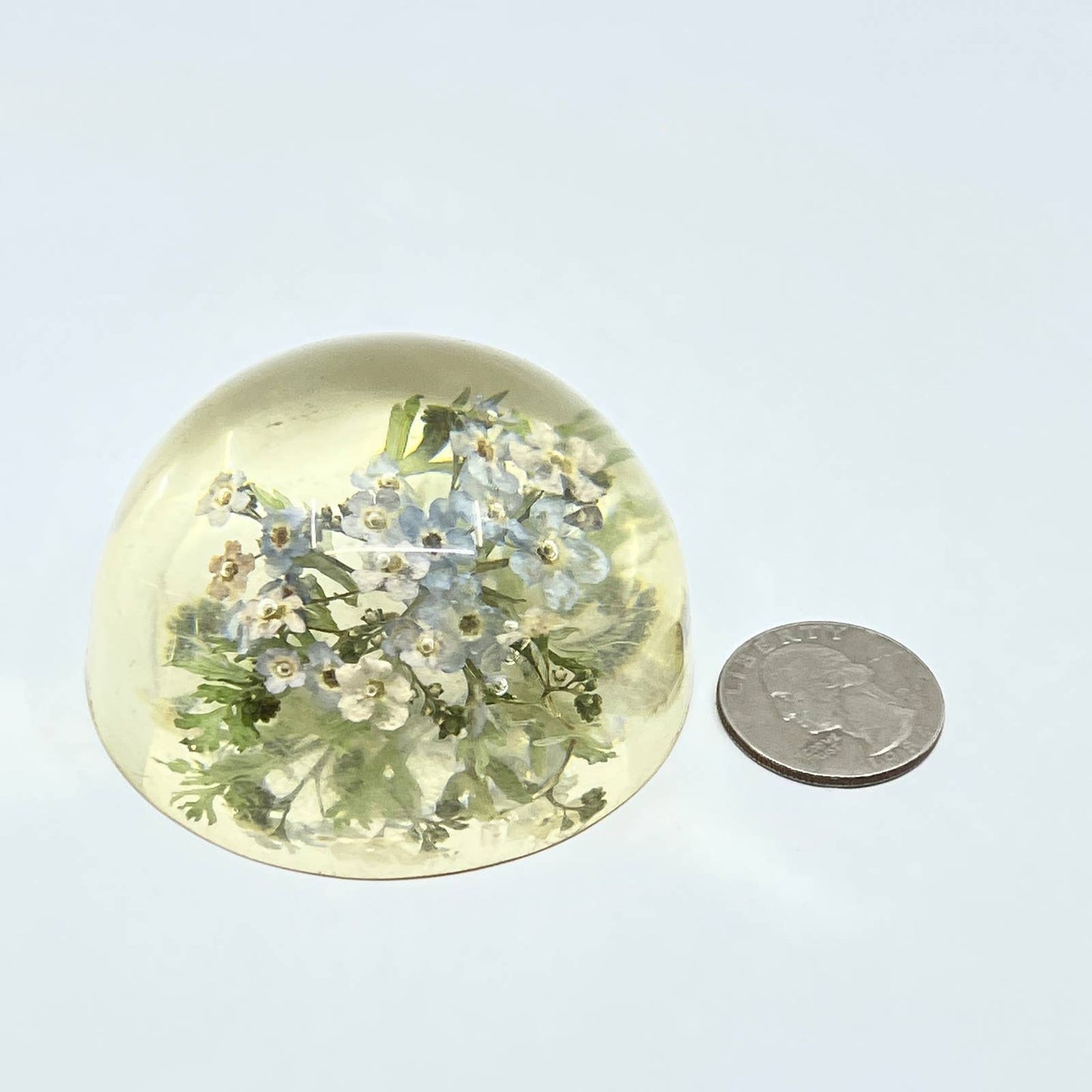 1960s Retro Kitsch Post Modern Lucite Paperweight Wild Flowers TC7