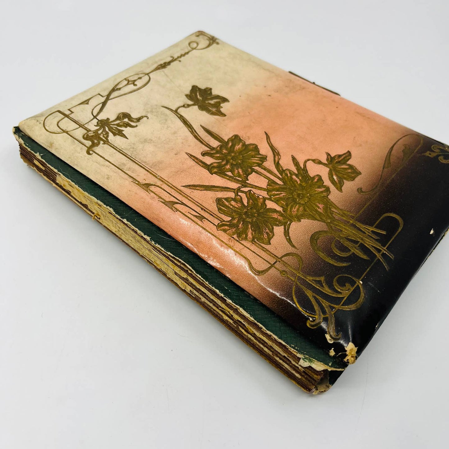 1880s Victorian Photo Album Filled With Photos of Infants Babies 8.5 x 6.5” TD2