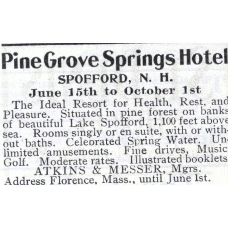 Pine Grove Springs Hotel Spofford NH Atkins & Messer - 1903 Original Ad TJ7-S9
