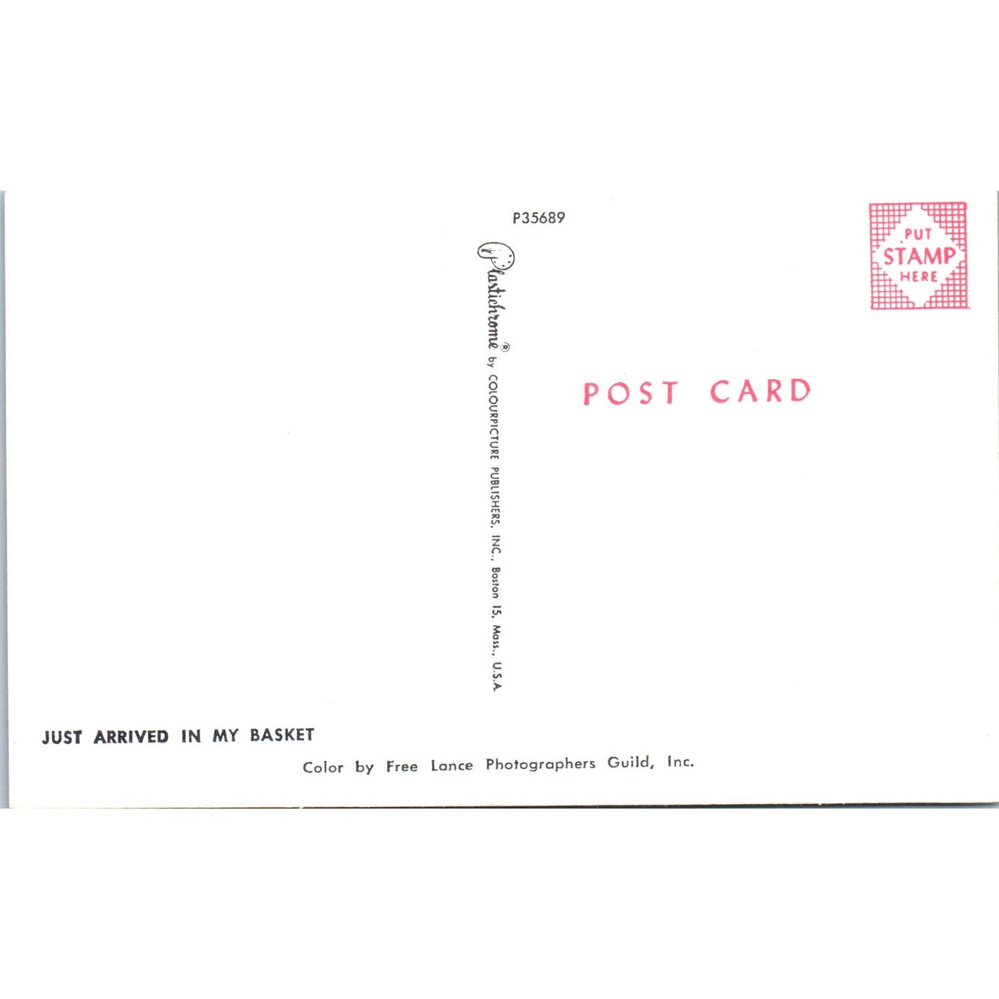 Raggedy Ann Doll With Cocker Spaniel Puppy Dog Original Postcard PB6