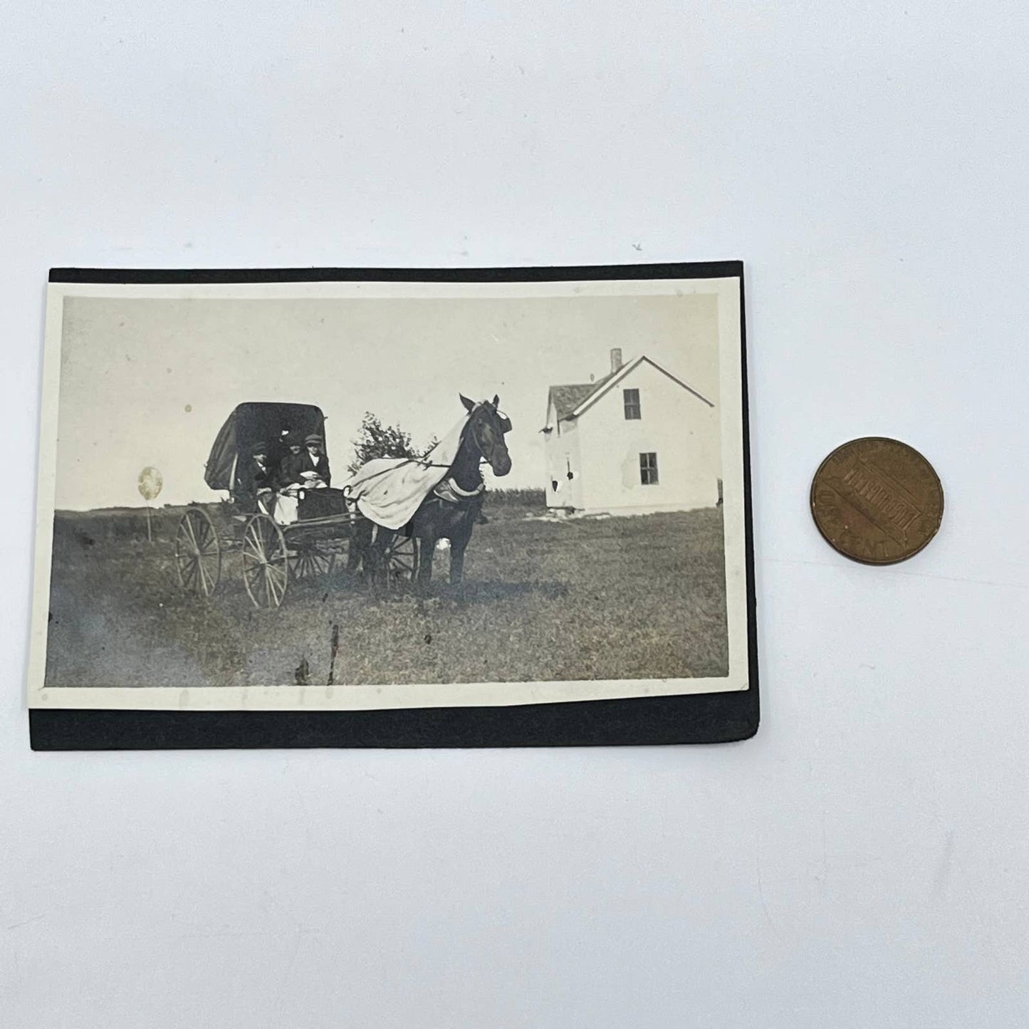Early 1900s Horse Drawn Carriage Photograph SC9