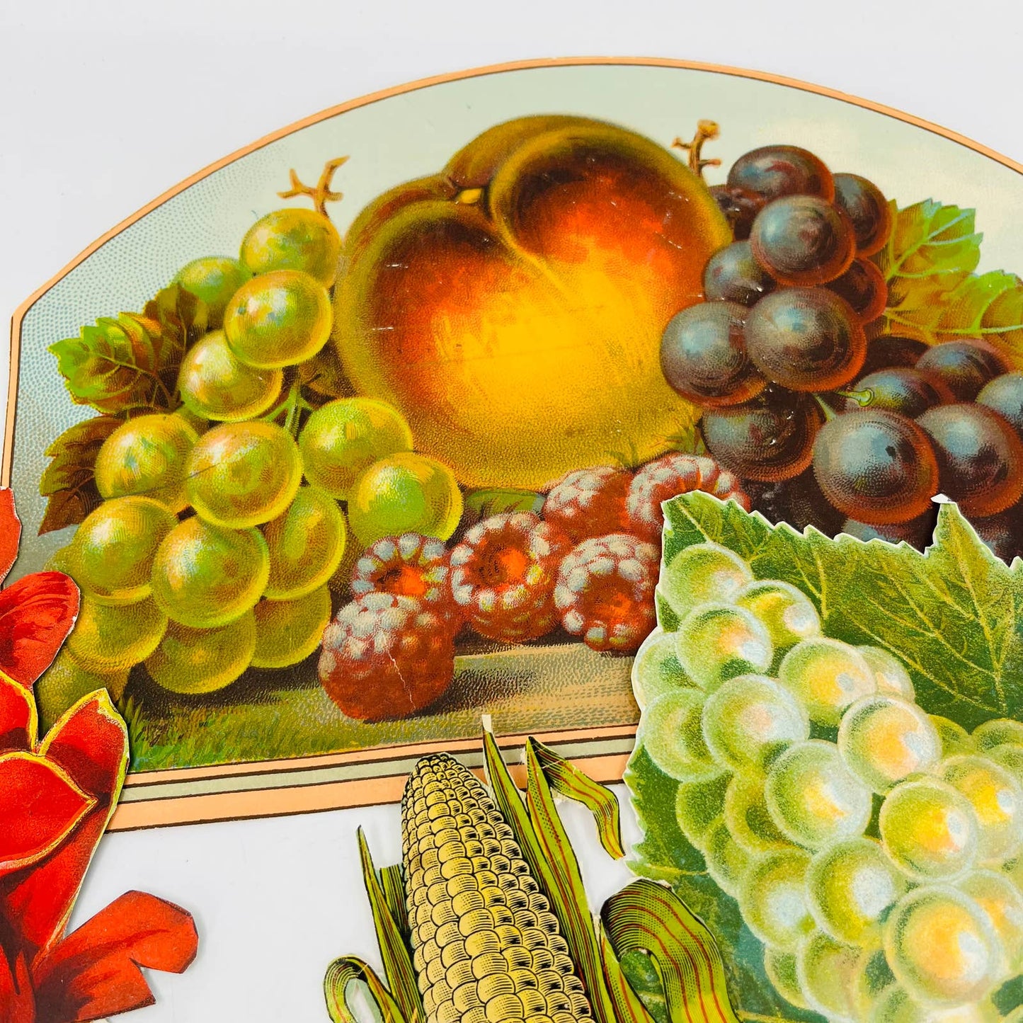 ANTIQUE Lot of 8 Victorian Lithograph Cut Outs Fruit Vegetable Flora AA3