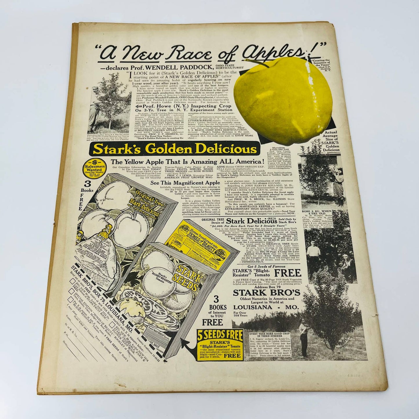 VTG The Country Gentleman December 15 1923 Grudge Mountain William Hoople BA2