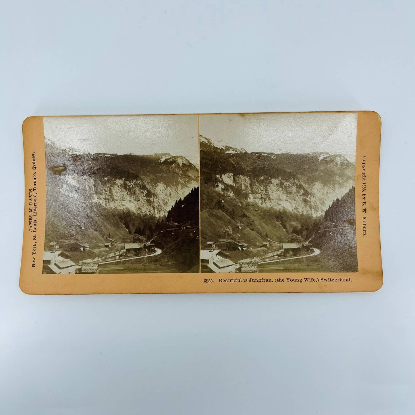 1885 Stereoview Card Jungfrau Bernese Alps Swiss Switzerland Birds Eye View