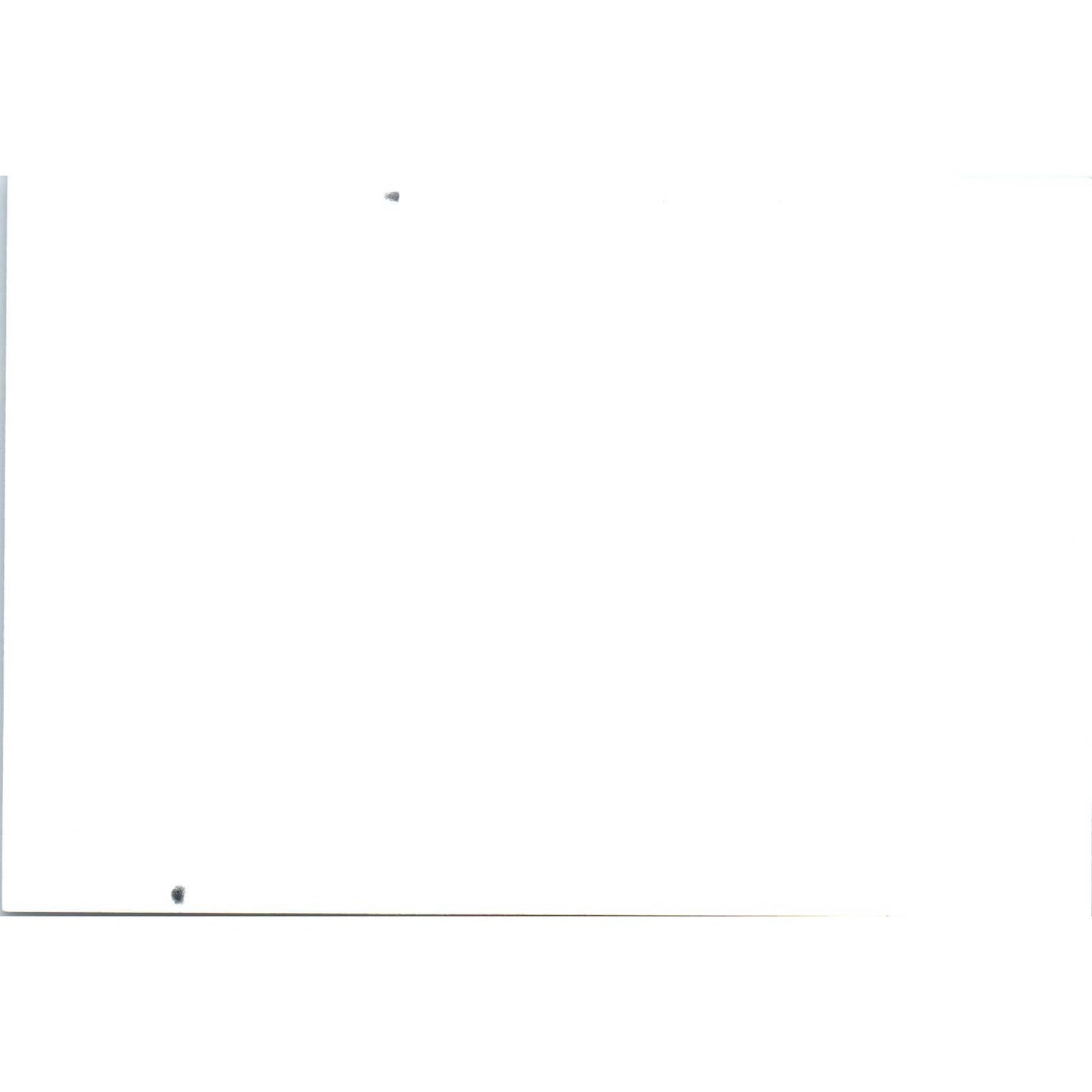 1940s Photo of Woman Standing on Logs in Lumberjack Logging Camp 3x5 SE5