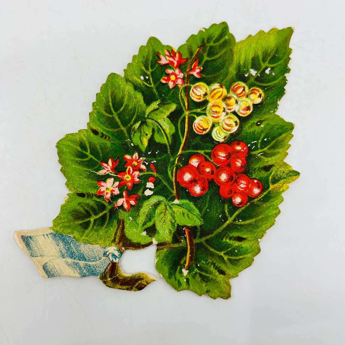 1880s Victorian Trade Card Bluxome NY STRAWBERRY Die Cut Laces Fans For Sale AA2