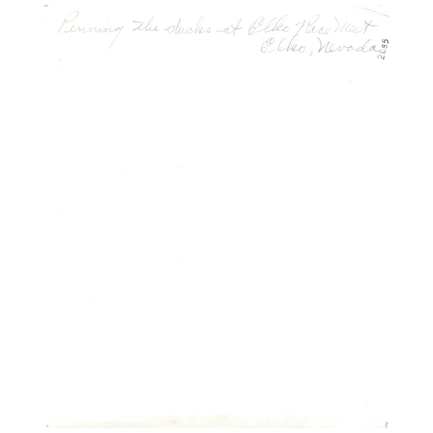 Vintage Original 8x10 Photograph Penning the Ducks at Elko Race Meet Elko NV AD8