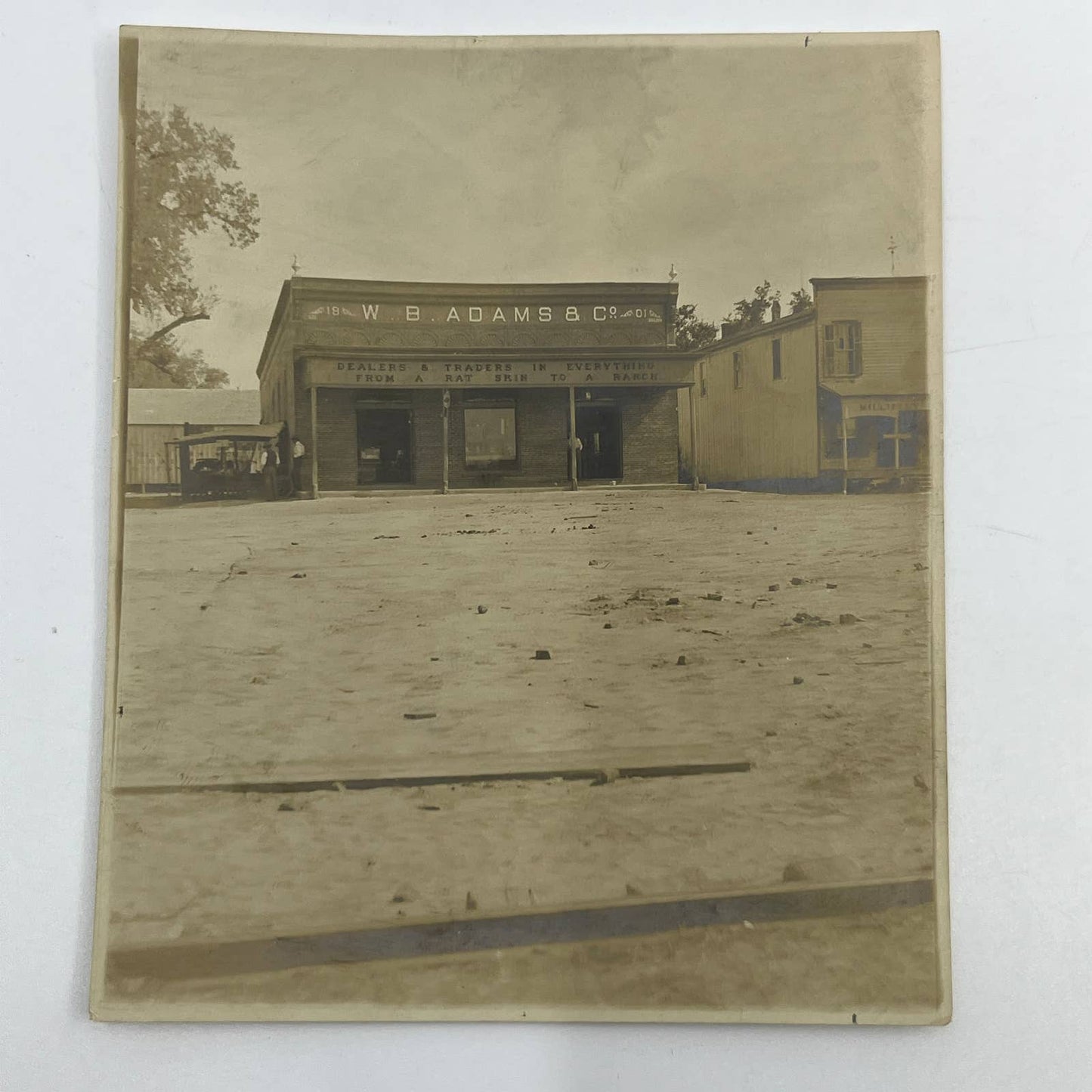 1903 Original Sepia Photograph W.B. Adams & Co General Store in Texas AC7
