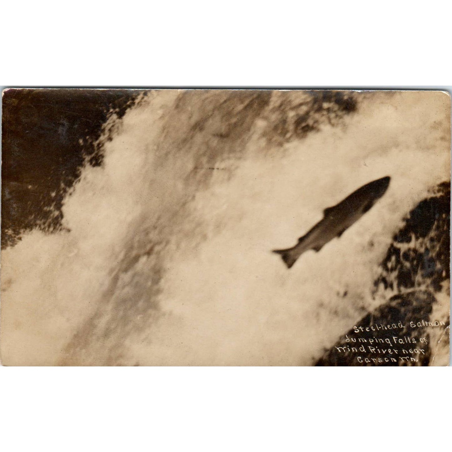 Antique RPPC Postcard Salmon Jumping Wind River Falls at Carson Minnesota SE5