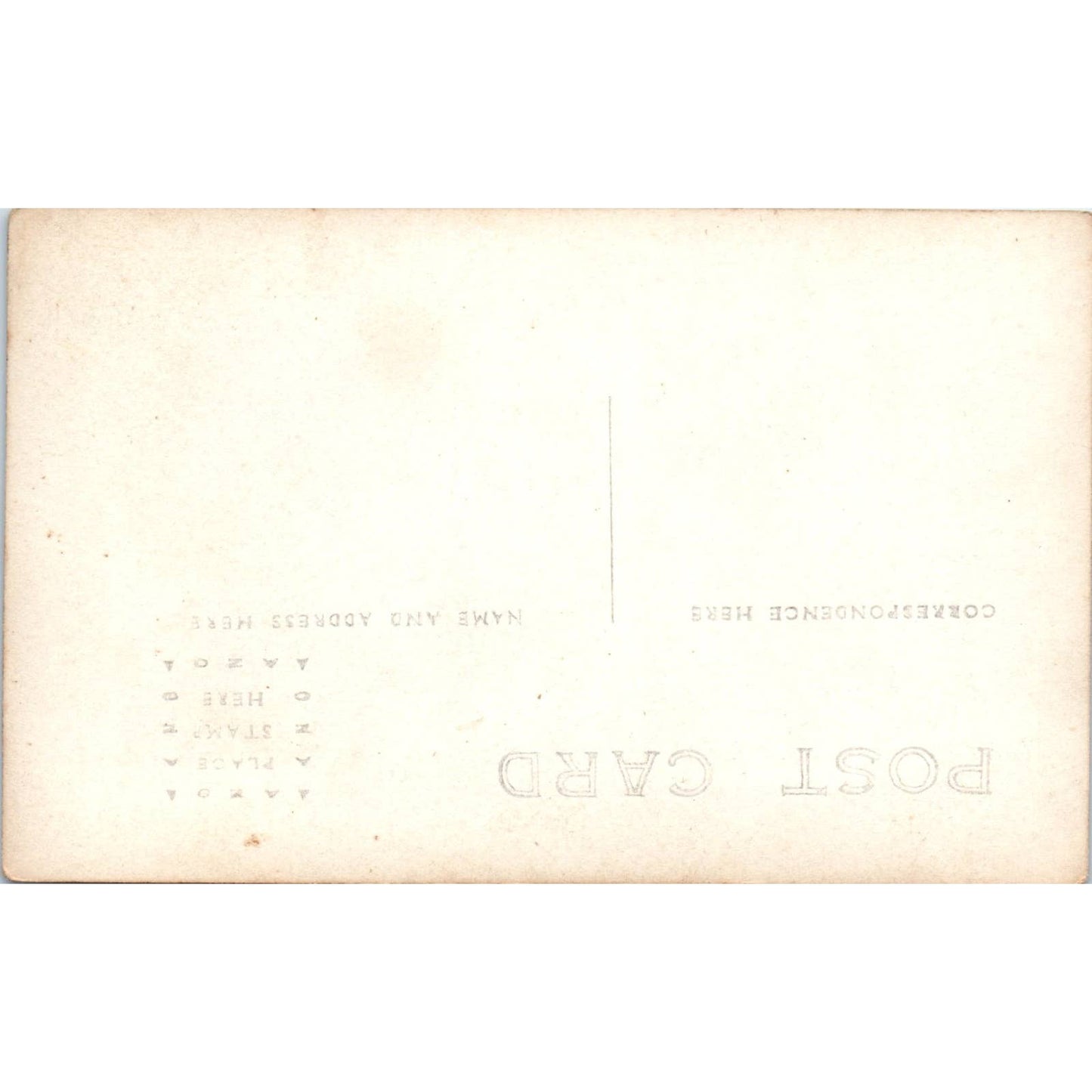 Antique RPPC Postcard Young Cow Calf in a Field EA3