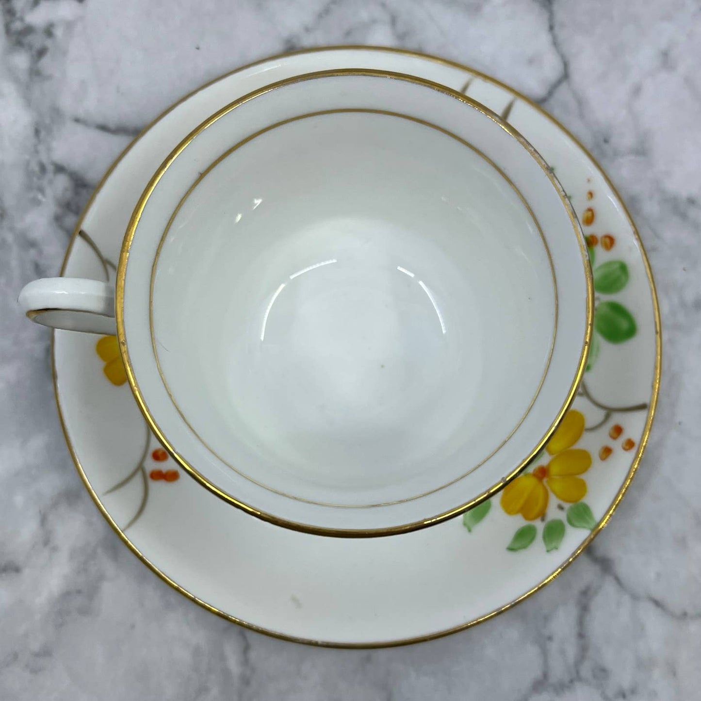 Cup & Saucer Hand Painted Floral Phoenix Bone China Thomas Forester & Sons TA7