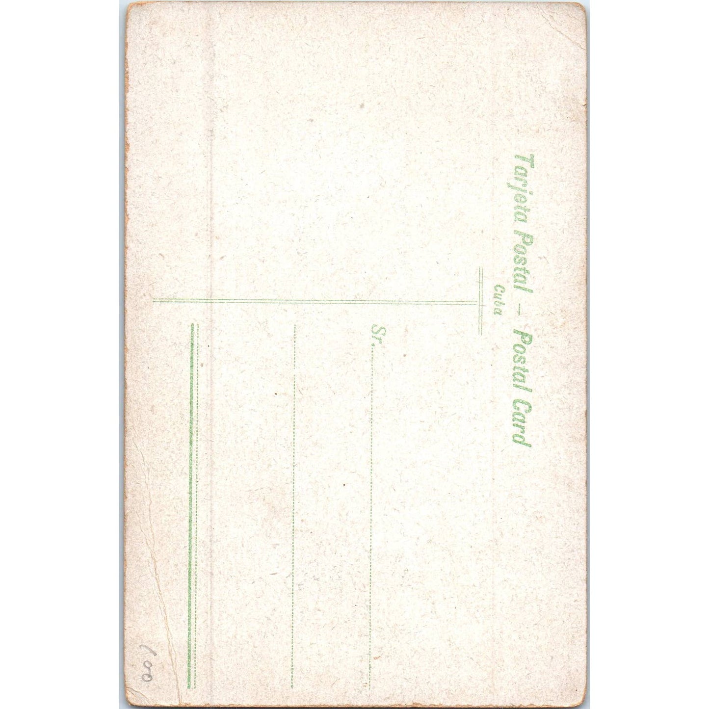 Isle of Pines Bottle Palms Havana Cuba Original Postcard TK1-P16