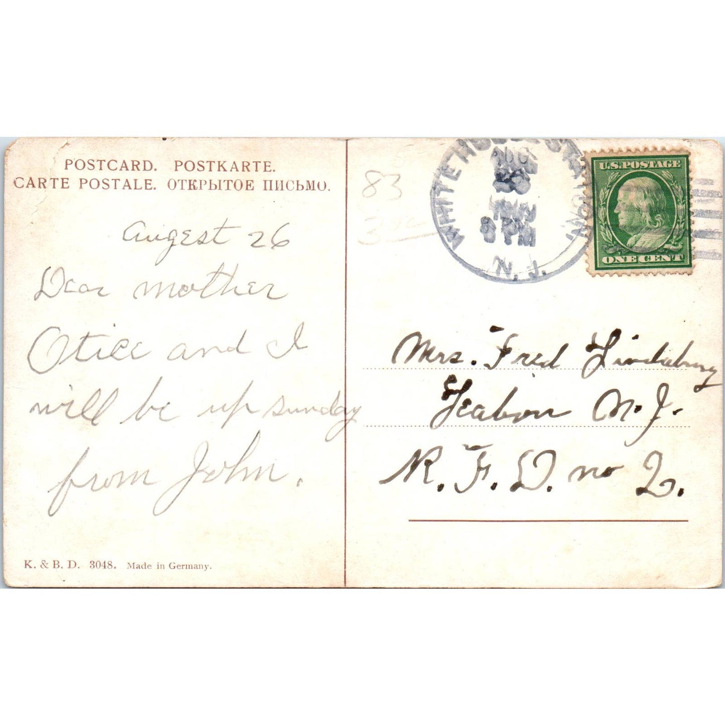 WHITE BORZOI Dogs Painting by F.v.W. c1910 Original Postcard TK1-27