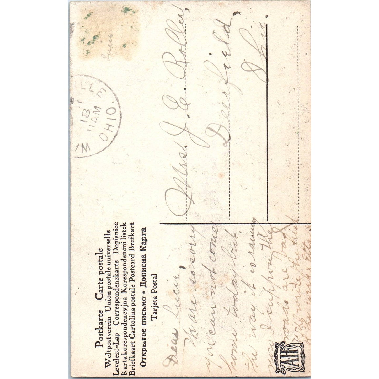 Southern Lily Face in Flower C. Eckstone 1907 Original Postcard TK1-27