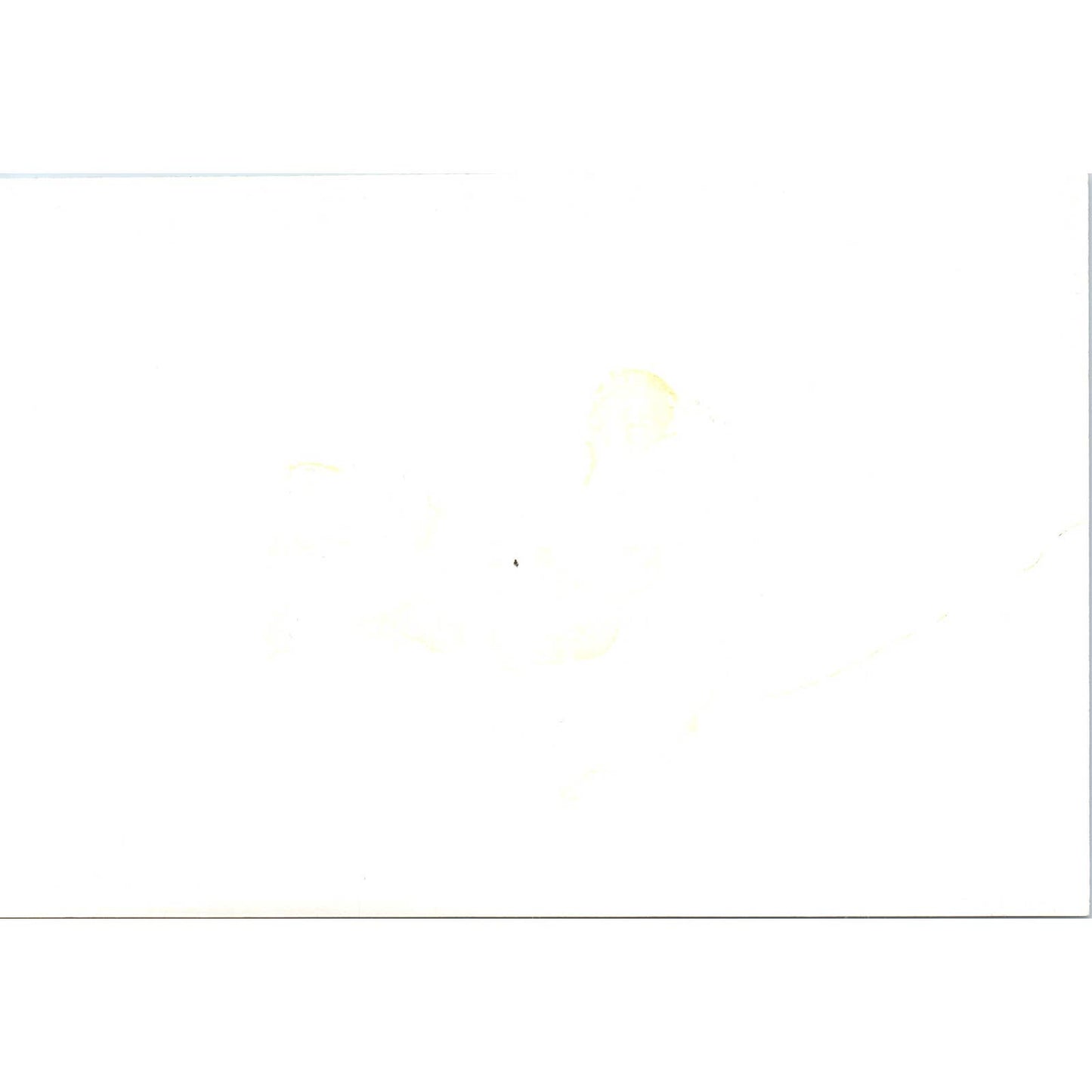 India Ambassador Nehru Introduced by Pres. Ward 1963 Original Photo 5x7 TK1-P4