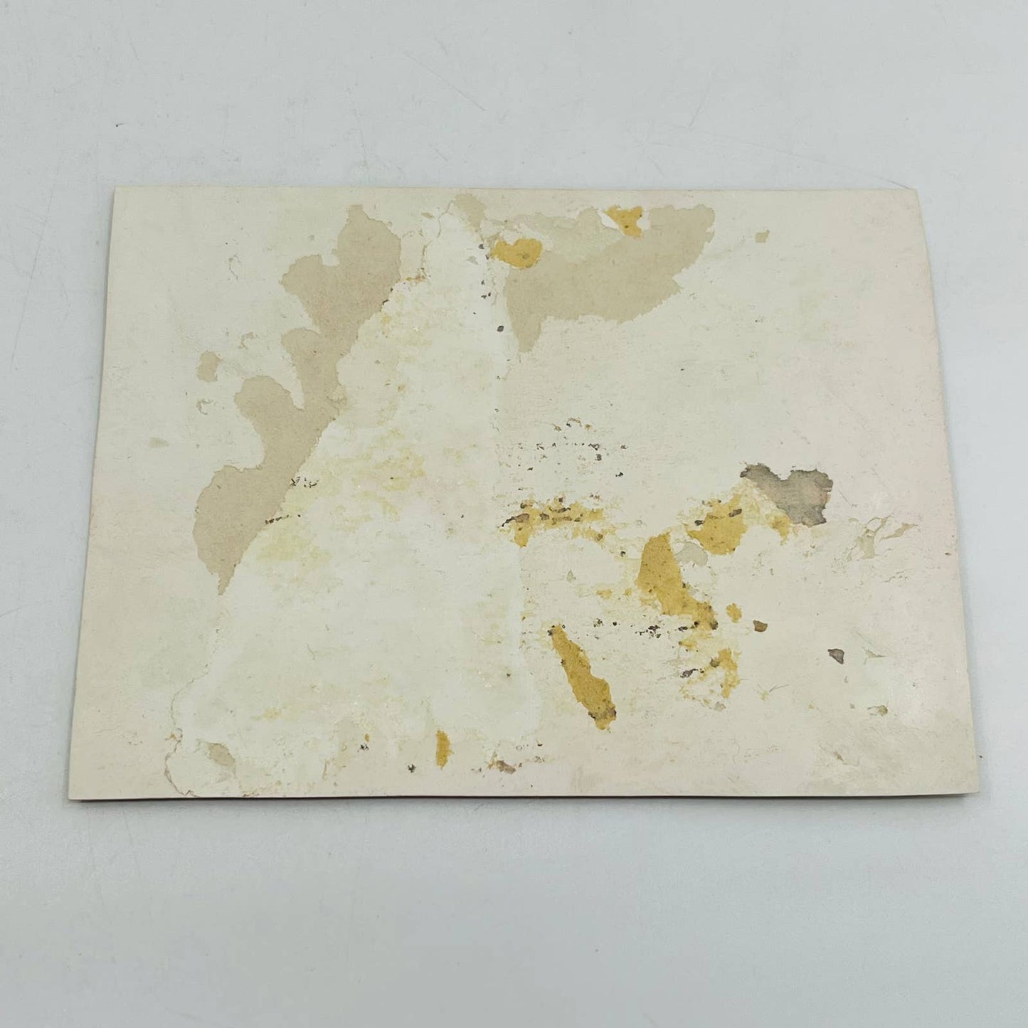 1880s Embossed Victorian Greeting Card Illustrated Kitty Cat’s Playing AA2