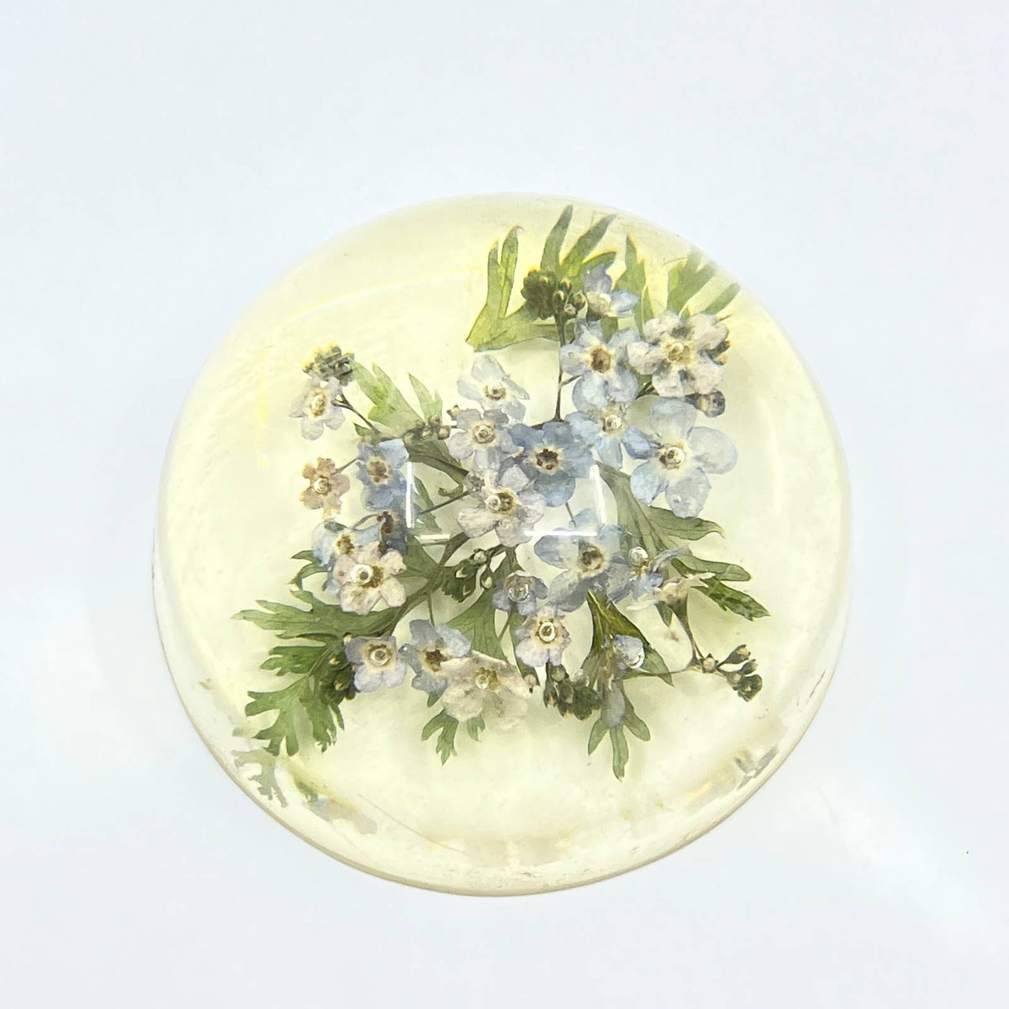 1960s Retro Kitsch Post Modern Lucite Paperweight Wild Flowers TC7