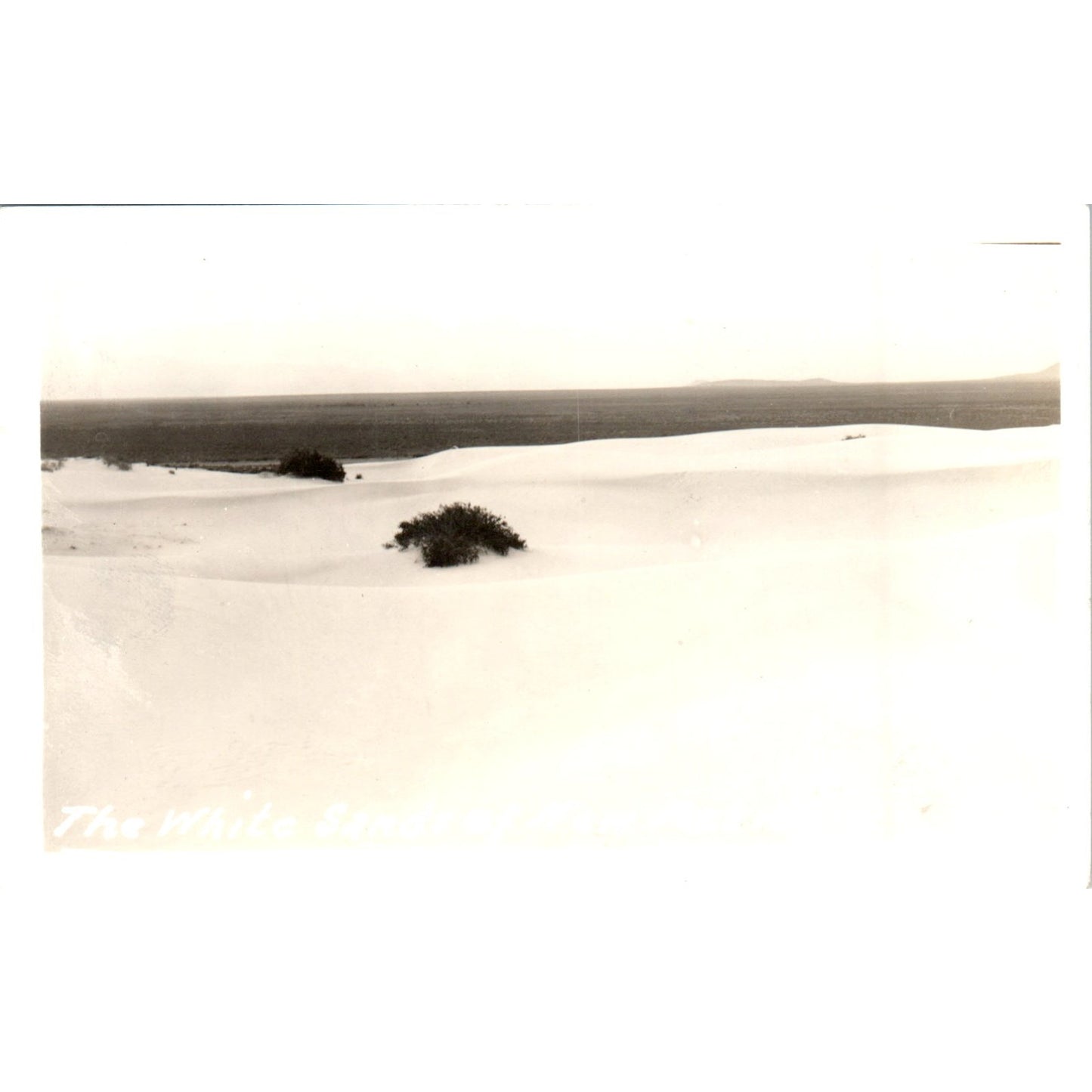 Antique Postcard The White Sands of New Mexico RPPC PE8