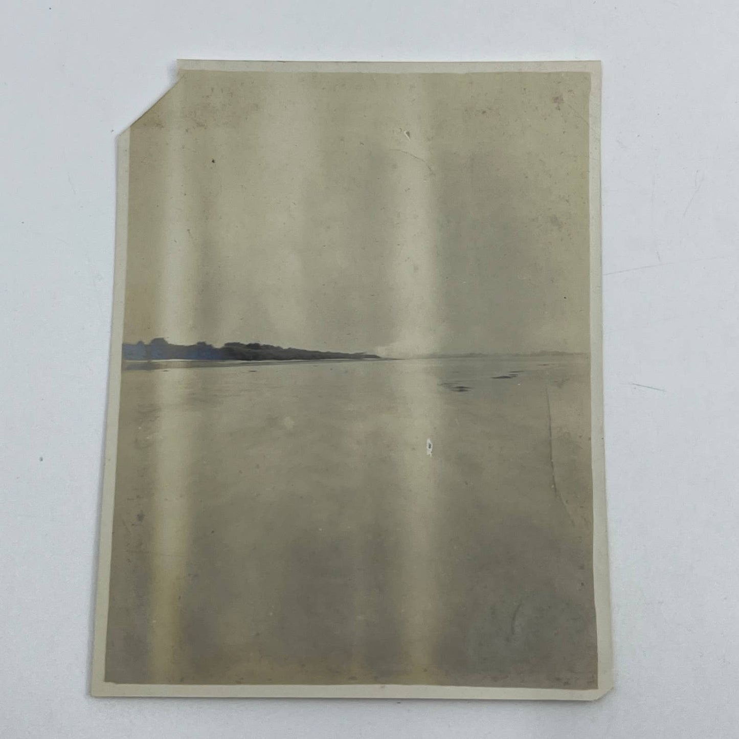 1903 Original Sepia Photograph Mississippi River View New Orleans  Louisiana AC7