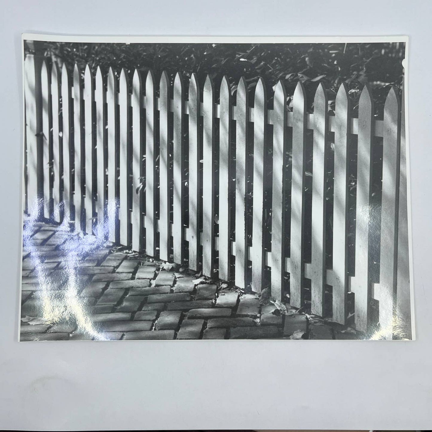 Vtg Original B&W Photo Picket Fence Randolph Allen Kennedy 11x14 FL4-1