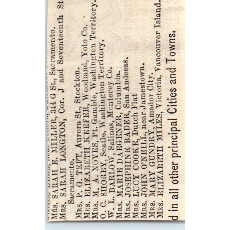 1870s Peterson's Magazine Ad - Eureka Patent Diaper Company EA3