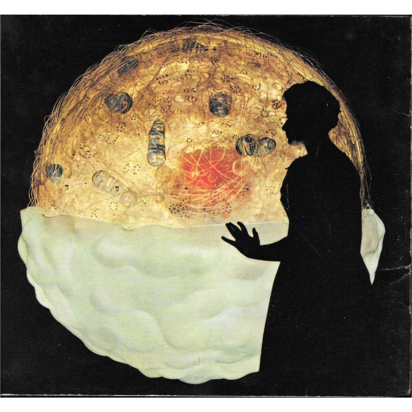 1960 THE CELL - Upjohn Exhibit on Cytology Souvenir Book Kalamazoo Michigan TJ7