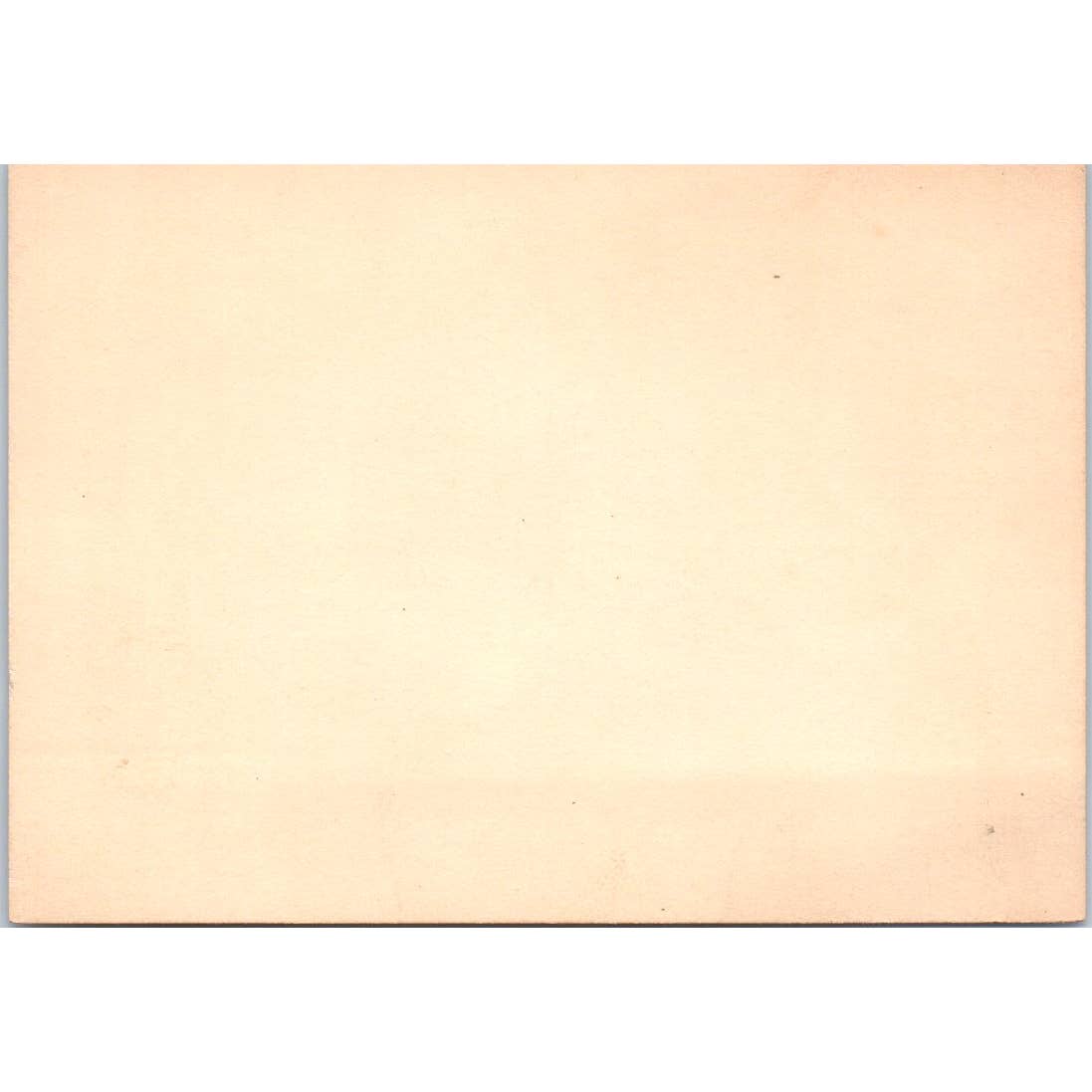 Mr. Sidney E. Britton c1880 Victorian Calling Card TK2-CC