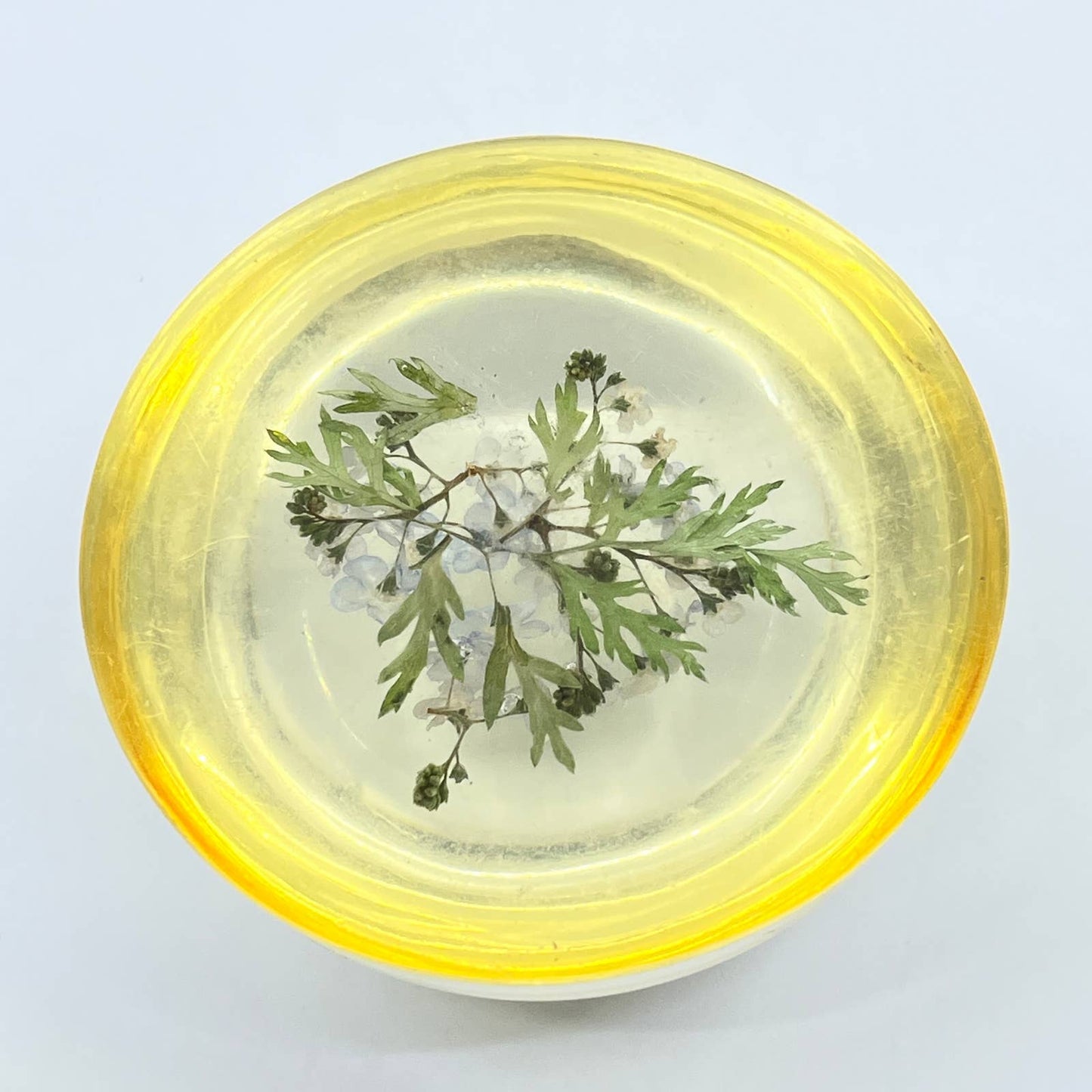 1960s Retro Kitsch Post Modern Lucite Paperweight Wild Flowers TC7