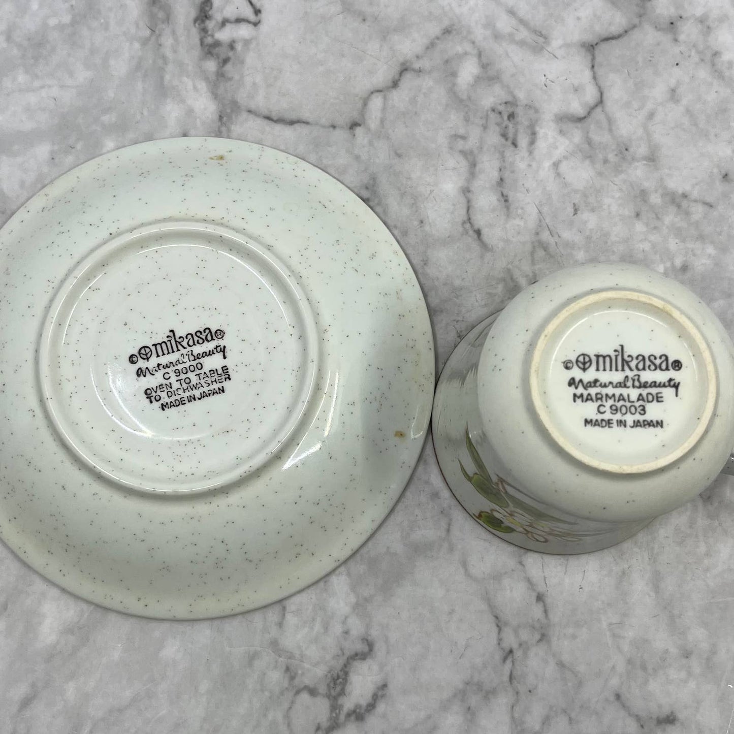 Mikasa Natural Beauty Marmalade Cup and Saucer Set TJ3-4