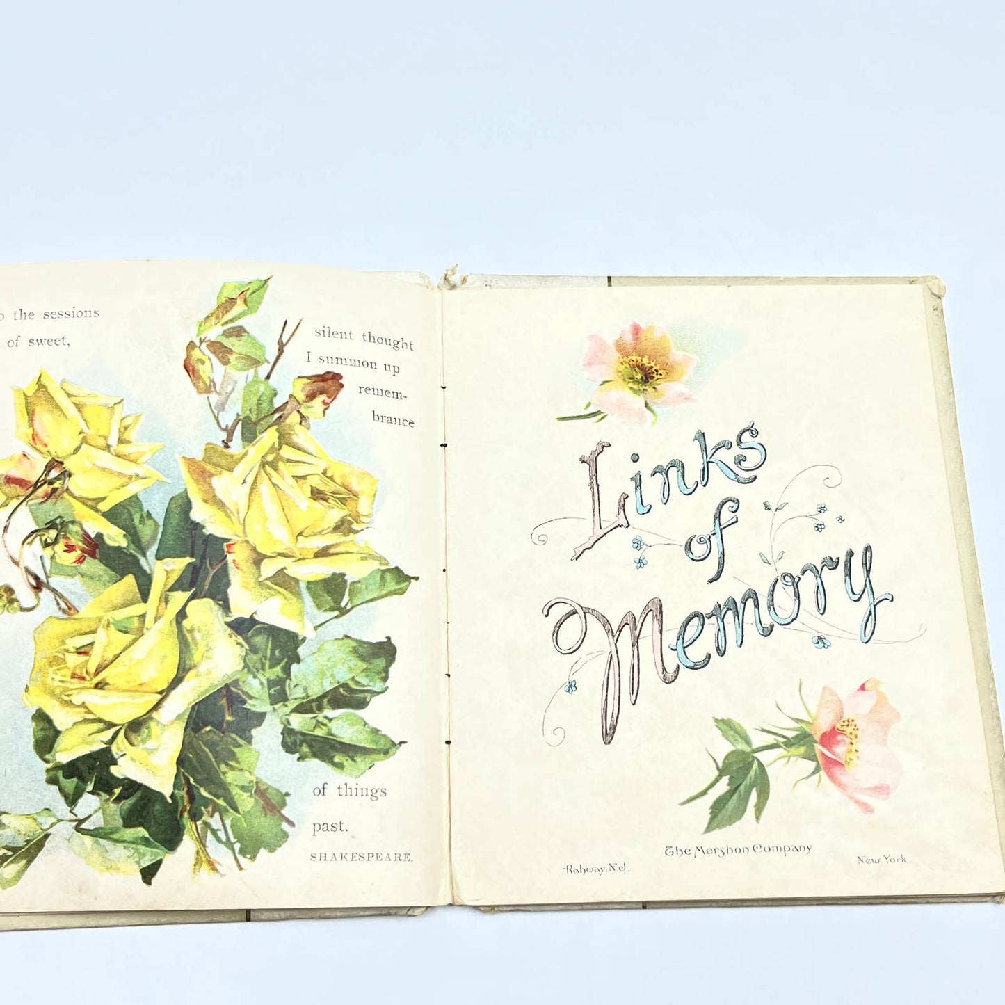c1900 Links of Memory Victorian Poem Flower Book HC TG2
