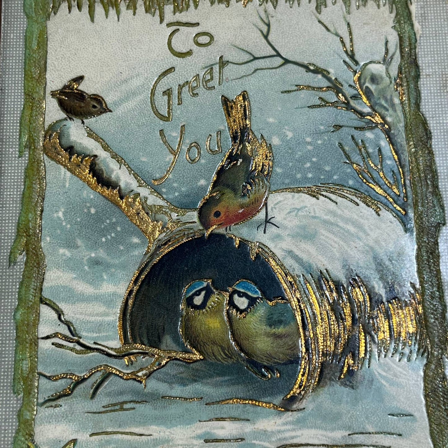 c1910 Embossed Holly Nuthatch Birds Christmas Greetings Postcard Germany PA2