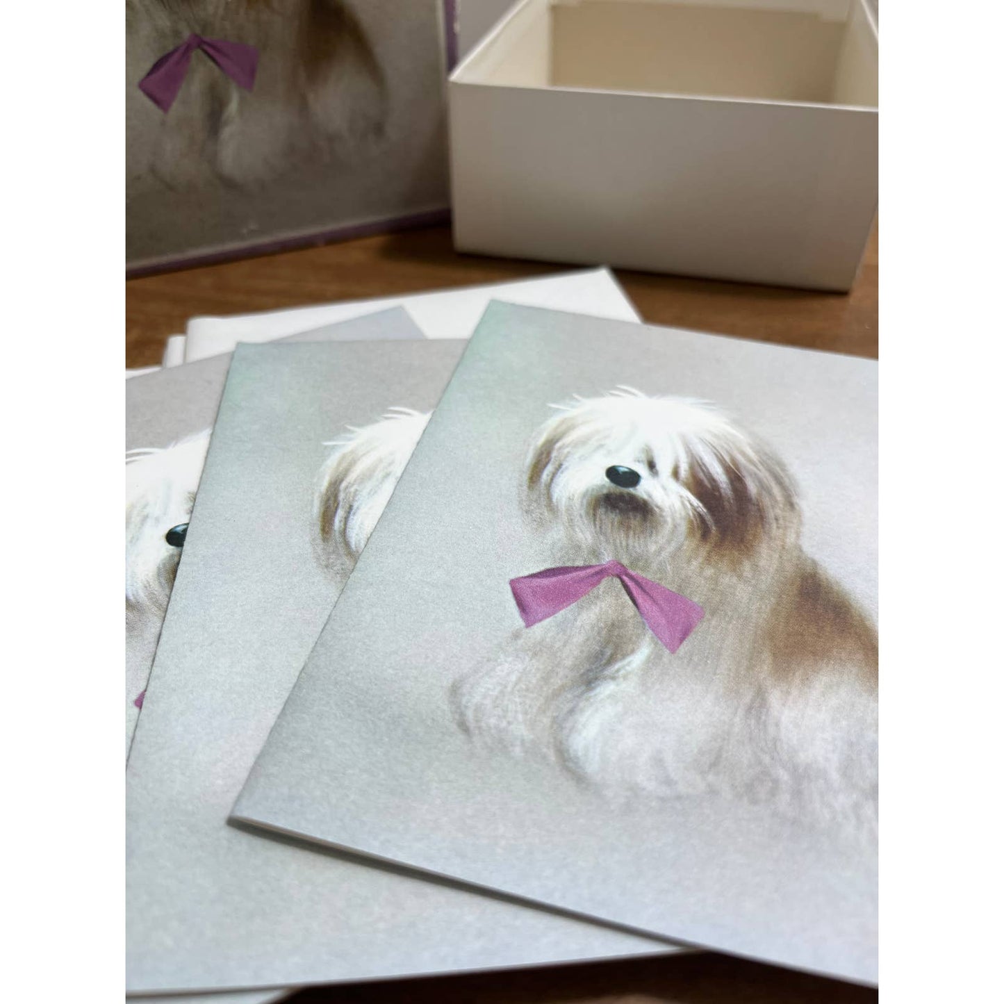 Vintage Norcross Shih Tzu Shaggy Dog Greeting Card Box Cards and Envelopes TF5