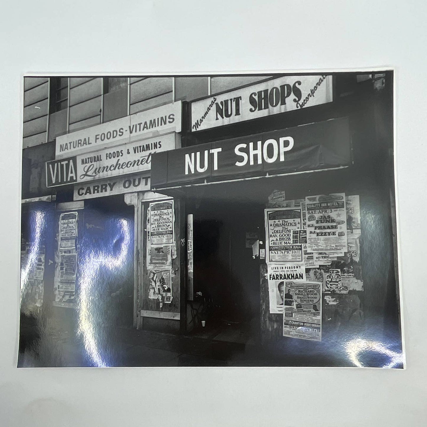 Vtg Original Art B&W Photo Washington DC Marmanas Nut Shop RA Kennedy 11x14 FL4