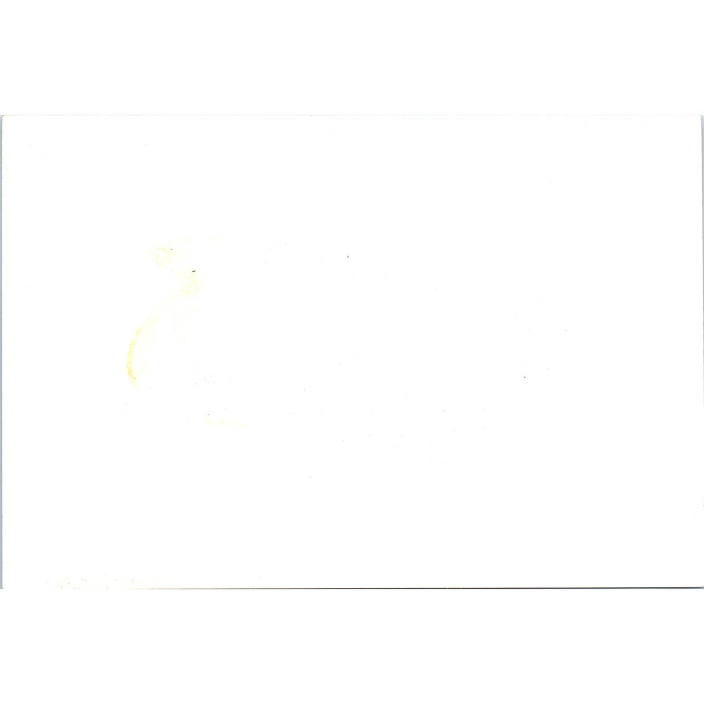 Mexico Ambassador Margain at Press Conference 1965 Original Photo 5x7 TK1-P4