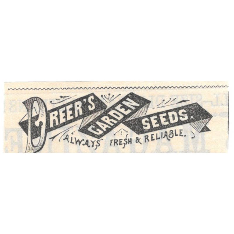 Dreers Garden Seeds Henry A. Dreer Philadelphia - Ad 1878 Original TJ7-L2-4