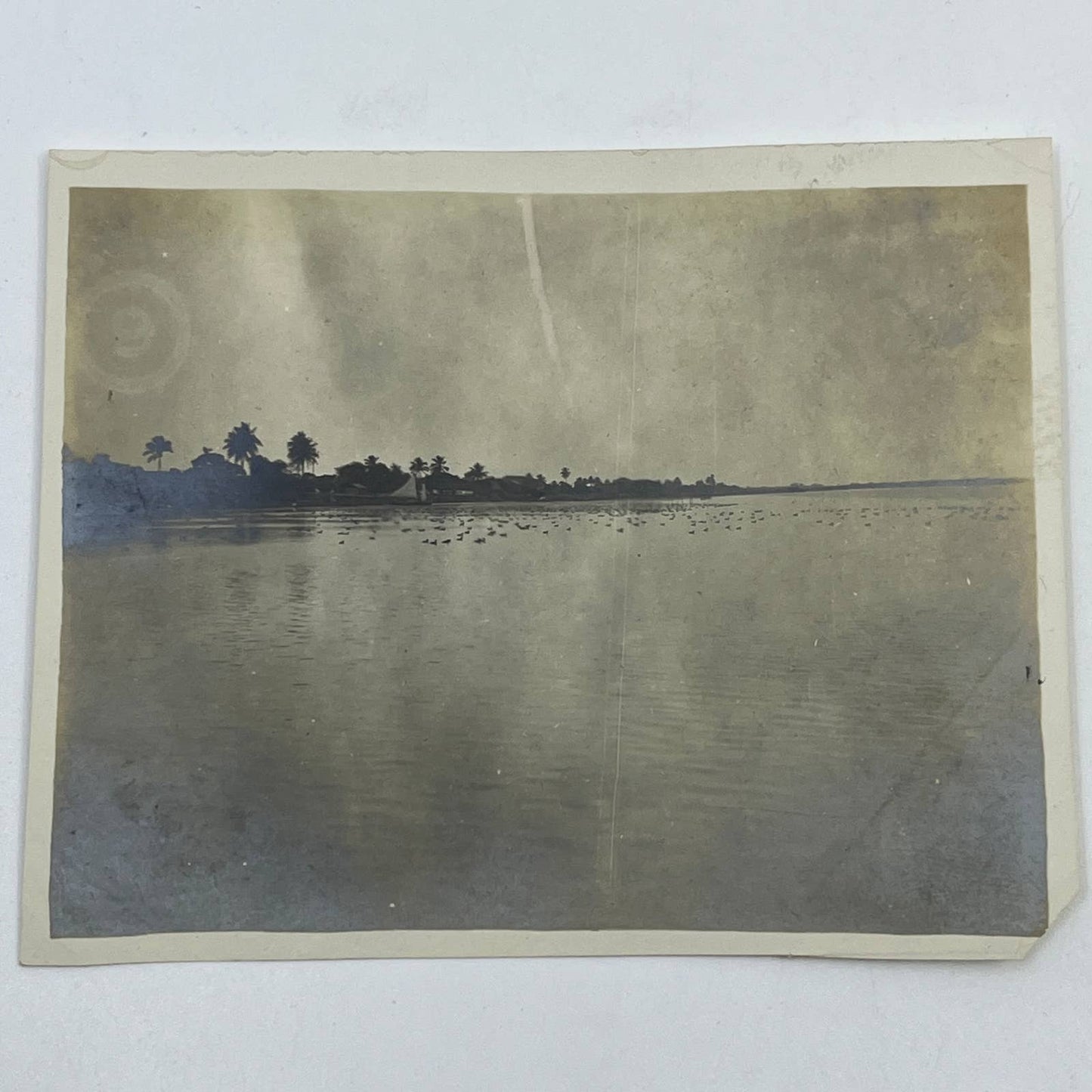1903 Original Sepia Photograph Tamiahua Between Tampico & Tuxpam Mexico AC7