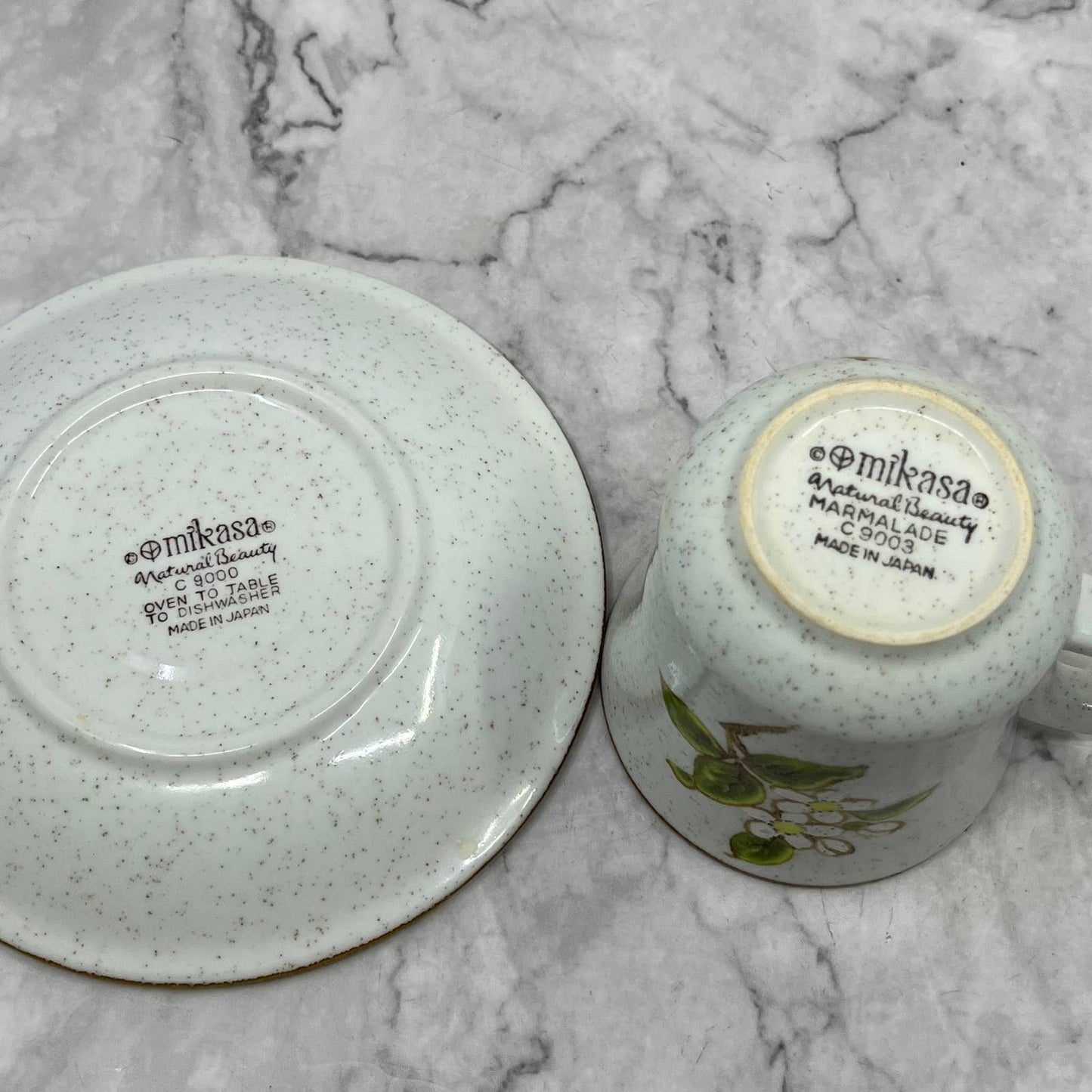 Mikasa Natural Beauty Marmalade Cup and Saucer Set TJ3-3