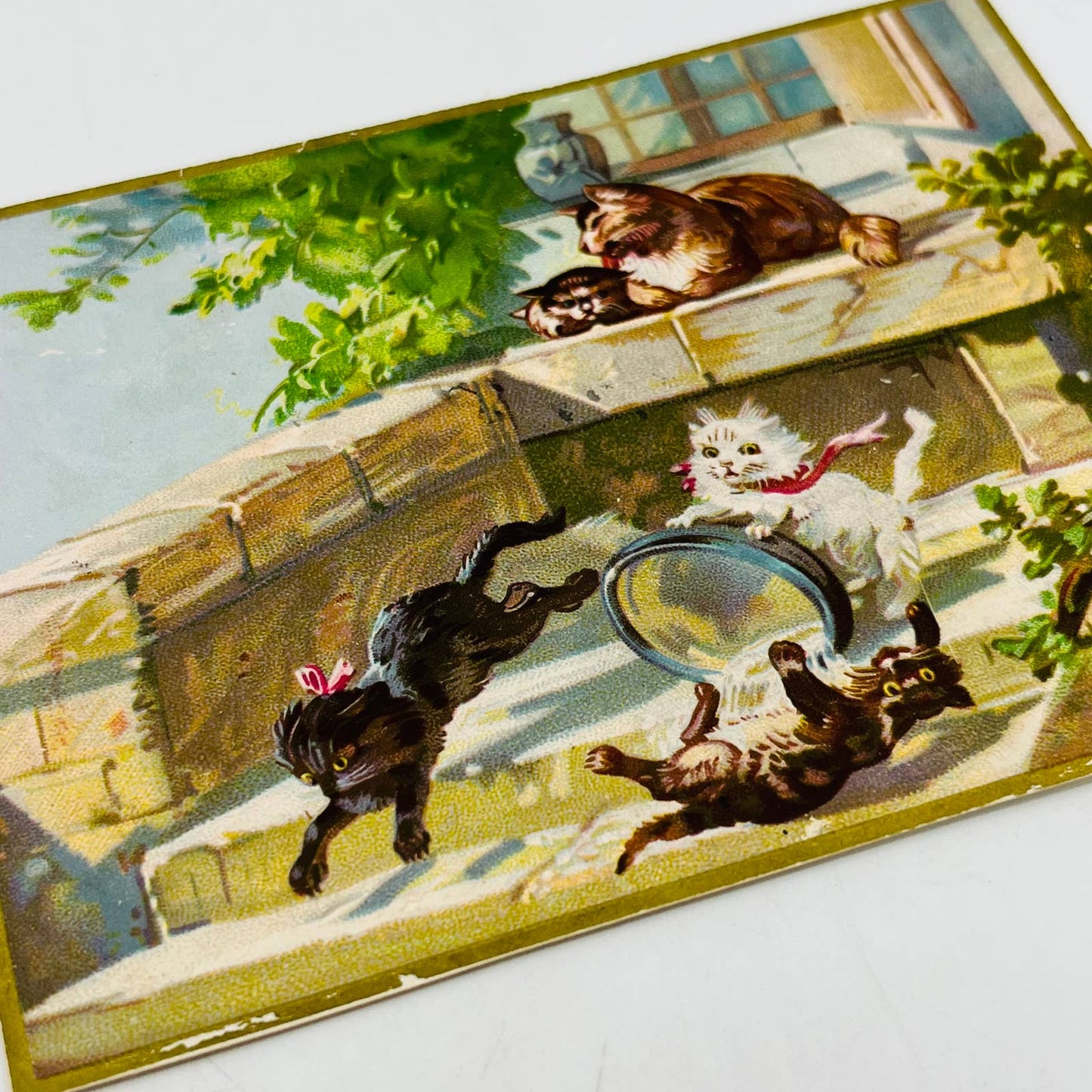 1880s Embossed Victorian Greeting Card Illustrated Kitty Cat’s Playing AA2